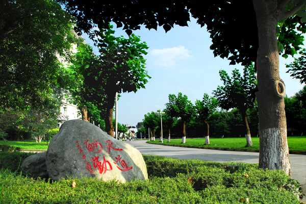 棠湖外國語(yǔ)實(shí)驗學(xué)校校園風(fēng)采