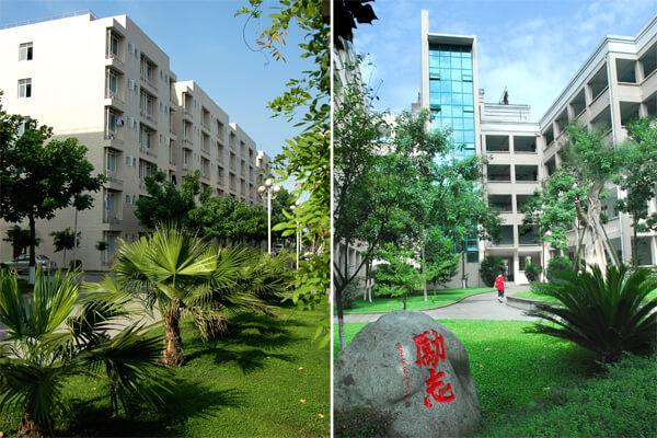 棠湖外國語(yǔ)實(shí)驗學(xué)校校園風(fēng)采