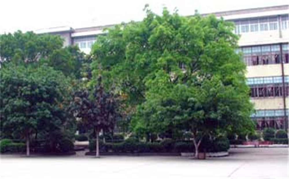 威遠縣自強中學(xué)學(xué)校環(huán)境怎么樣？