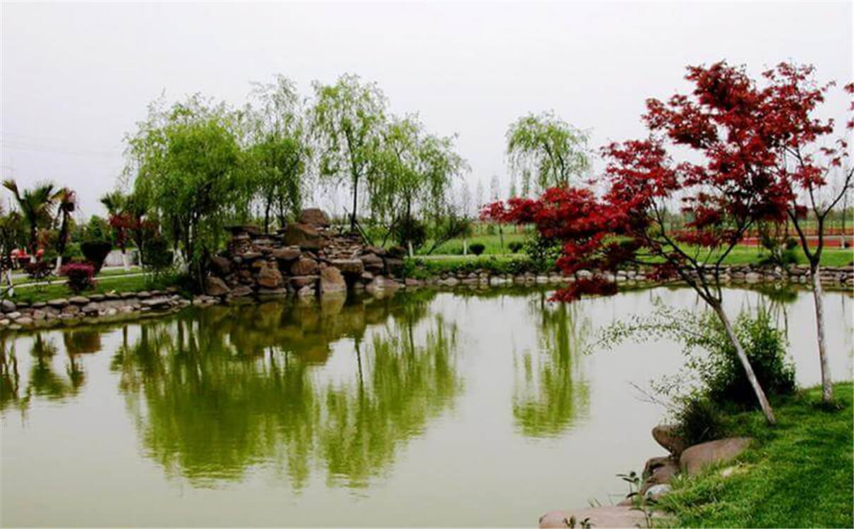 成都七中實(shí)驗學(xué)校高中部的錄取分數是多少？