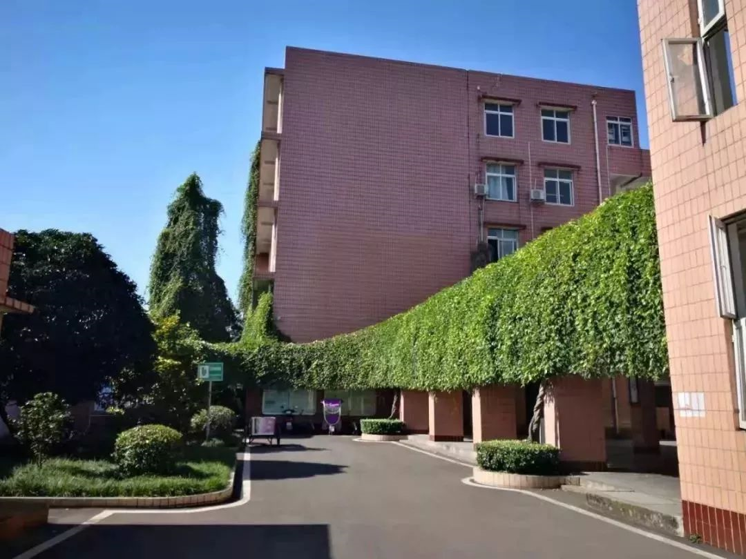 成都三十六中的本科升學(xué)率在哪兒看？