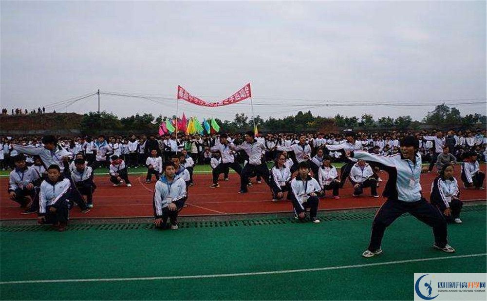 2020年高板中學(xué)成績(jì)查詢(xún)入口在哪？