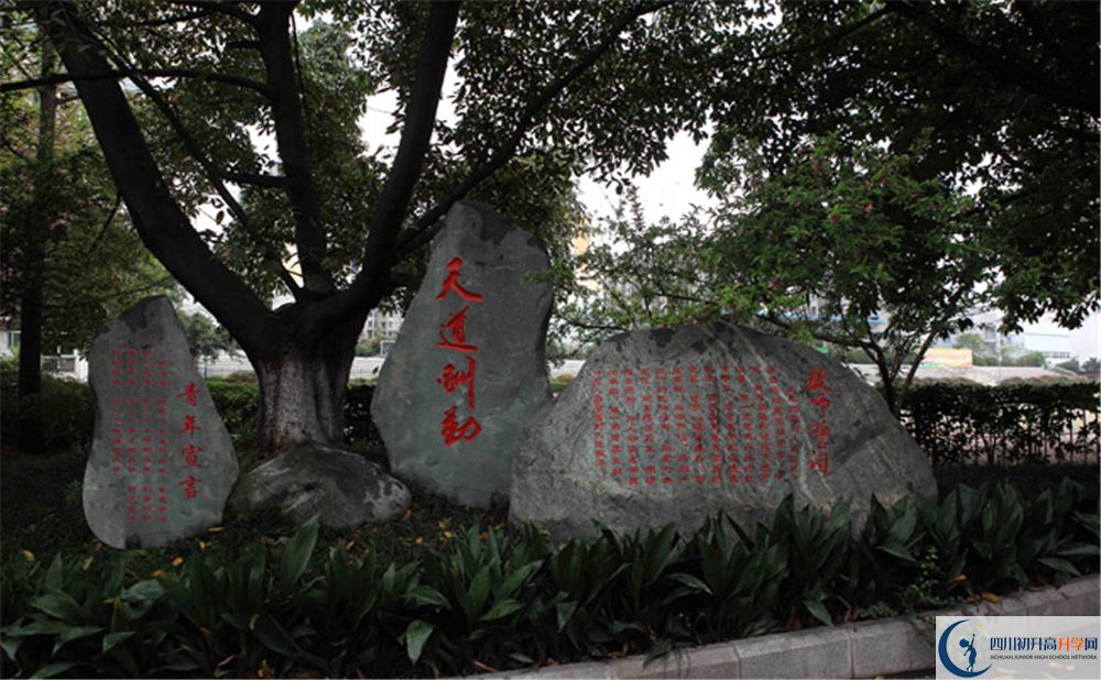 成都玉林中學(xué)補課多少錢(qián)?