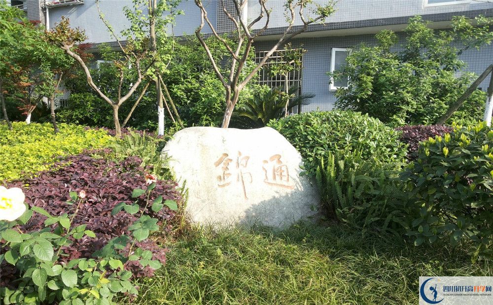 關(guān)于通錦中學(xué)2020年招生計劃（含統招、調招、指標等）