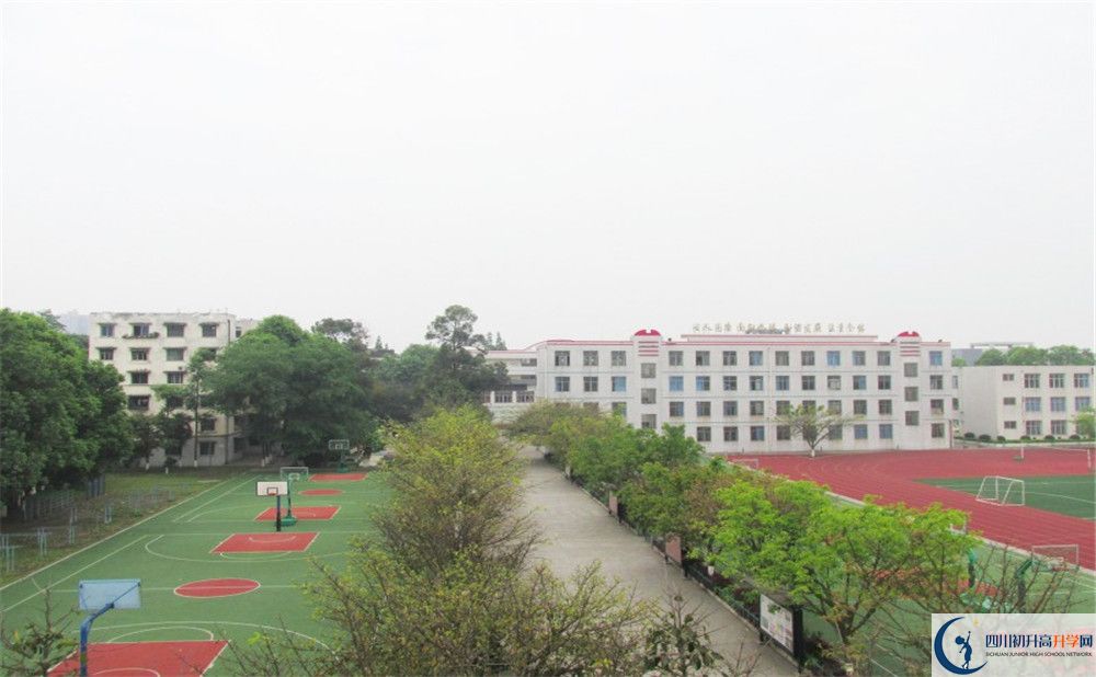 2020年成都市青白江中學(xué)升學(xué)率高不高？