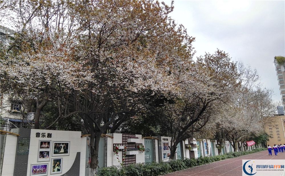成都大學(xué)附屬中學(xué)2020年高考成績(jì)好不好？