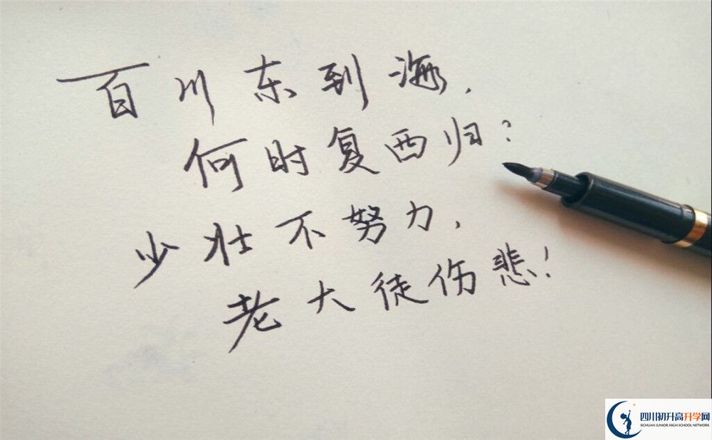 2023年成都市新津區實(shí)驗高級中學(xué)招生計劃是什么？